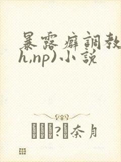 暴露癖调教(高h,np)小说