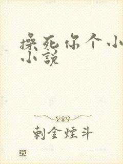 操死你个小骚货小说