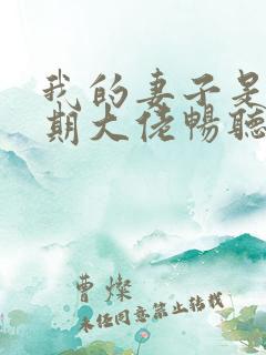 我的妻子是大乘期大佬畅听