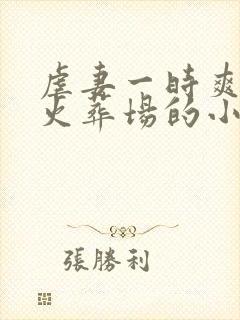 虐妻一时爽追妻火葬场的小说现言