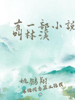 有一部小说主角叫林溪