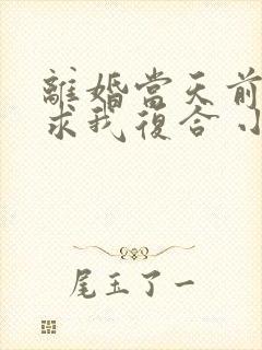 离婚当天前夫跪求我复合 小说阅读