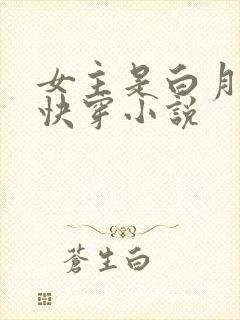 女主是白月光的快穿小说