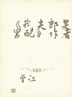 《我夫郎是恶毒男配》作者:端瑜