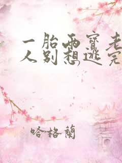 一胎两宝老婆大人别想逃完整版免费阅读