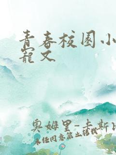 青春校园小说甜宠文