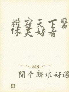 权宠天下医妃要休夫好看