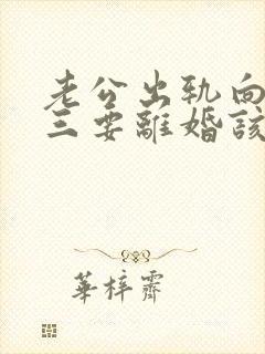 老公出轨向着小三要离婚该怎么办