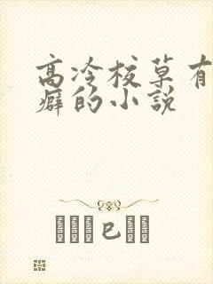高冷校草有恋丑癖的小说