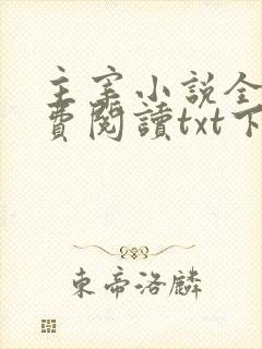 主宰小说全文免费阅读txt下载