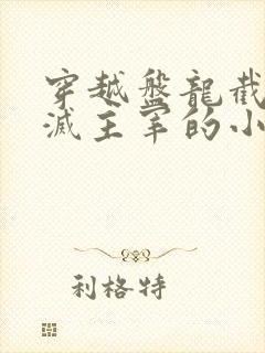 穿越盘龙截胡毁灭主宰的小说