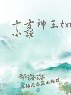 十方神王txt小说
