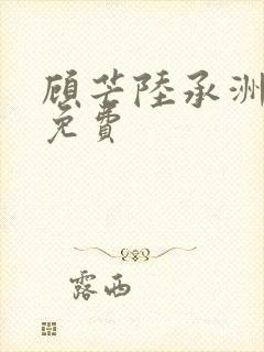 顾芒陆承洲全文免费