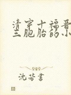 清穿十福晋生了三胞胎的小说