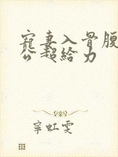 宠妻入骨腹黑老公超给力