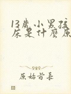 13岁小男孩尿床是什么原因引起的