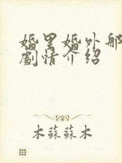 婚里婚外那些事剧情介绍