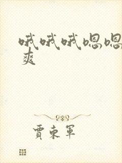 哦哦哦嗯嗯嗯好爽