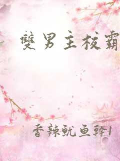 双男主校霸小说