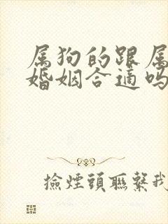 属狗的跟属马的婚姻合适吗