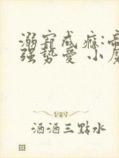 溺宠成瘾:帝少强势爱 小魔女