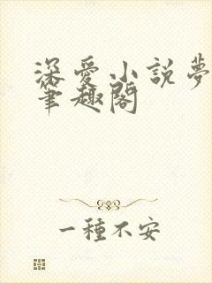 深爱小说梦相随笔趣阁