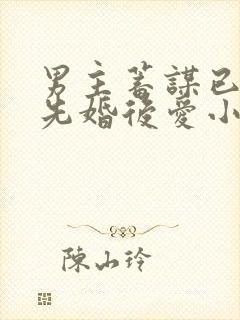 男主蓄谋已久的先婚后爱小说