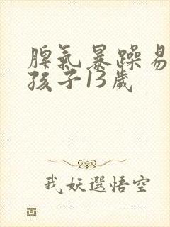 脾气暴躁易怒的孩子13岁