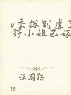 v季总别虐了,舒小姐已嫁人