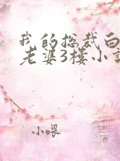 我的总裁白富美老婆3楼小说免费完整版