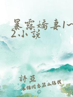 暴露娇妻1~12小说