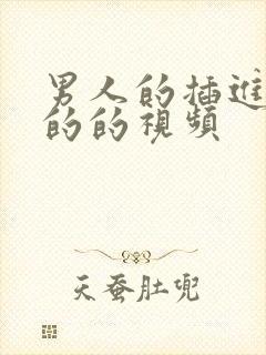 男人的插进女人的的视频