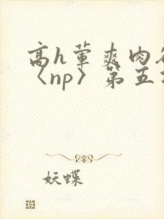 高h荤爽肉欲文〈np〉第五次