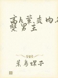 高h荤爽肉欲文双男主