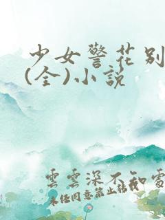 少女警花别动队(全)小说