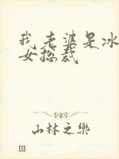 我老婆是冰山美女总裁