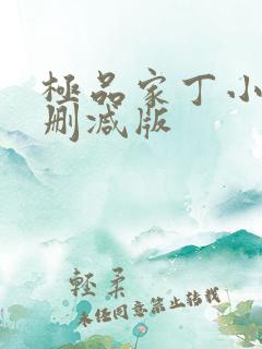 极品家丁小说无删减版