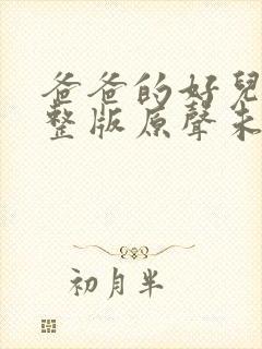 爸爸的好儿子完整版原声未删减