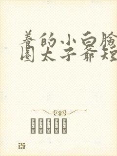 养的小白脸是京圈太子爷短剧免费观看全集