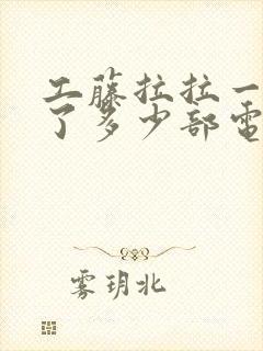 工藤拉拉一共出了多少部电影