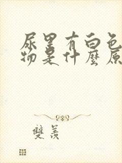 尿里有白色沉淀物是什么原因