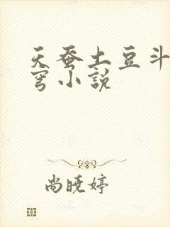 天蚕土豆斗破苍穹小说