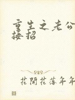 重生之老公,请接招