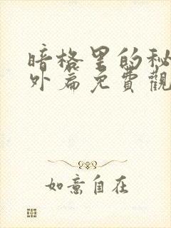 暗格里的秘密番外篇免费观看26集