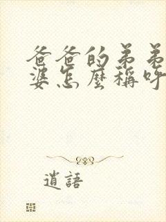 爸爸的弟弟的老婆怎么称呼