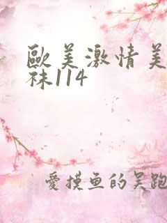 欧美激情美腿丝袜114