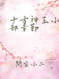 十方神王小说全部章节