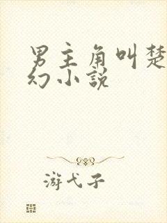 男主角叫楚风玄幻小说