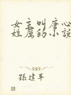 女主叫唐心男主姓厉的小说