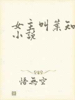 女主叫叶知秋的小说